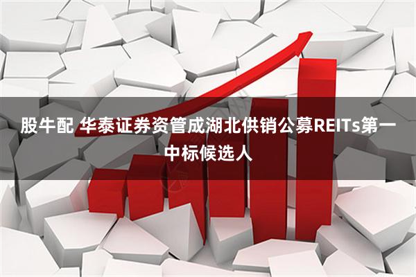 股牛配 华泰证券资管成湖北供销公募REITs第一中标候选人